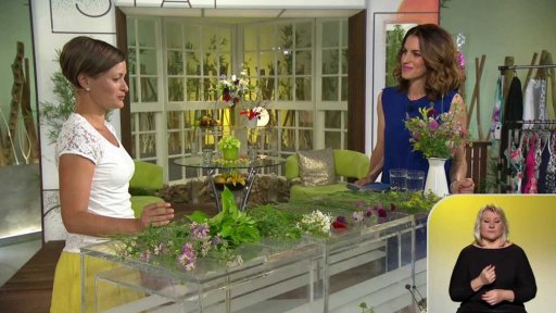 Týdenní seriál - louky