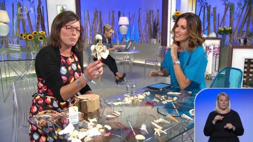 Týdenní seriál - Přivezli jsme si: mušle