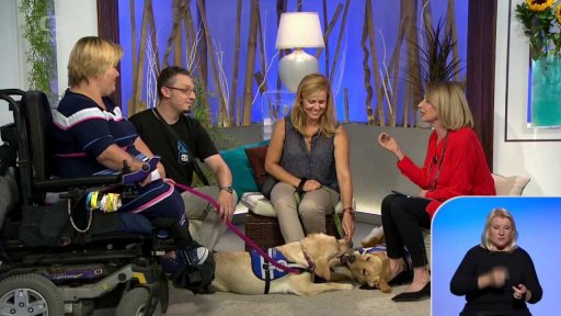 Asistenční psi + anketa