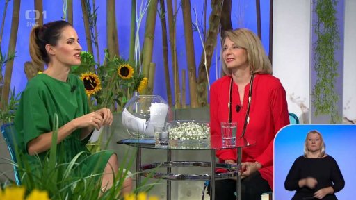 Pozvánky + anketa + výzva