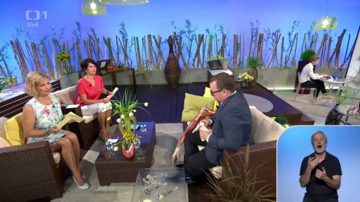 Bolesti ramen, luxace - 3. část