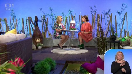 Aktivity pro pacienty s Alzheimerovou chorobou + anketa