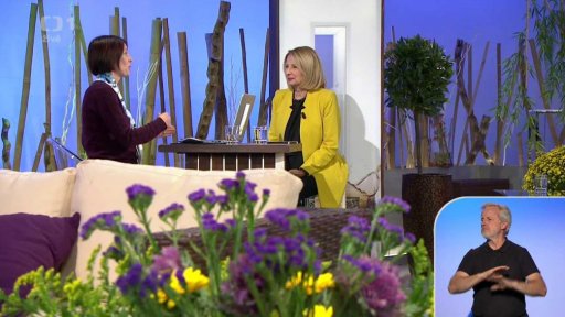 Vztahy mezi sourozenci v pubertě a v dospělosti