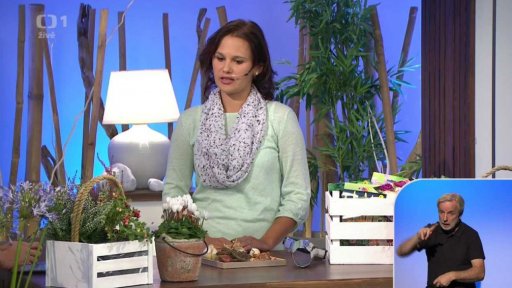 Cibuloviny na podzim + anketa