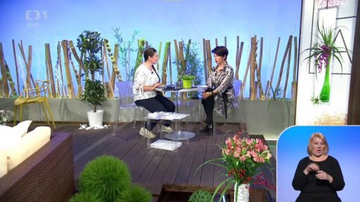 Vnímání pavouků a hadů člověkem