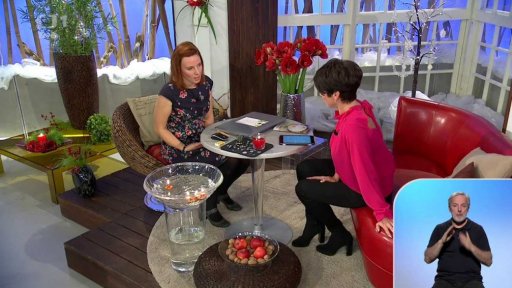 Týdenní seriál - štědrý den od rána až do půlnoci