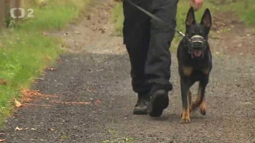 Příběh psa Nera - z útulkového psa komisařem Rexem