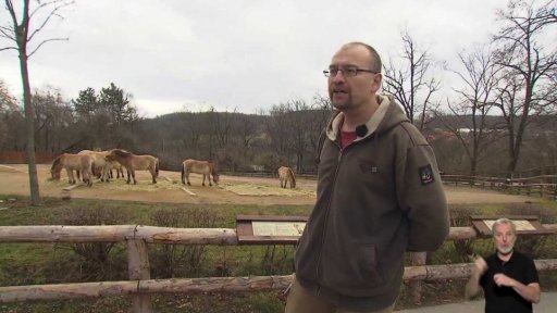 Nebezpečné krmení zvířat