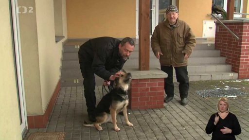 Nabídka psů z Prahy Troje