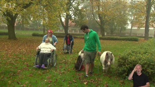 Minikoně – potěcha seniorů