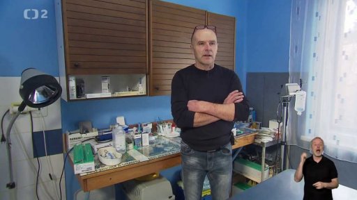 Ohrožují divočáci naše psy?