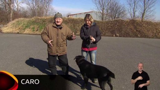 Nabídka psů z Kralup nad Vltavou