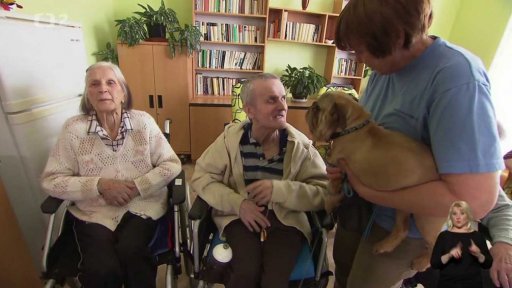 Agama a pejsci těší seniory v Tachově