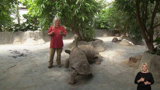 Není krunýř jako krunýř