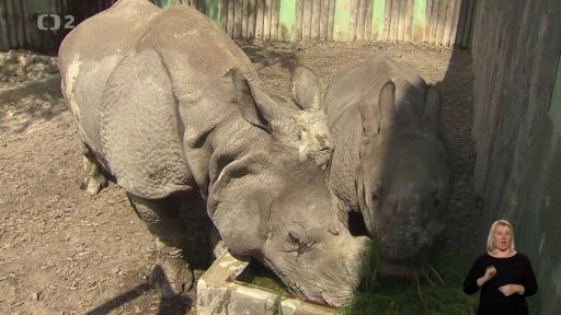 Novinky z plzeňské zoo