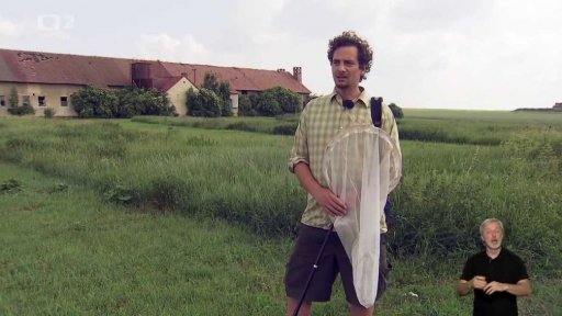 Kus divoké přírody vnese do zahrady život