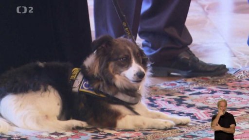 Záchranářský kříž pro statečné lidi i psy