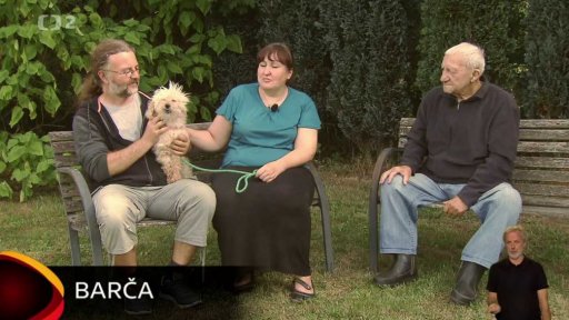 Nabídka psů z Ostrova