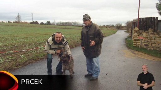 Nabídka psů z Buštěhradu