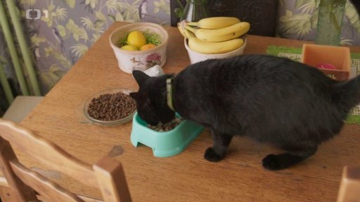 Značkující Mikeš: triky a rady