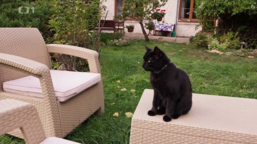 Značkující Mikeš: po měsíci