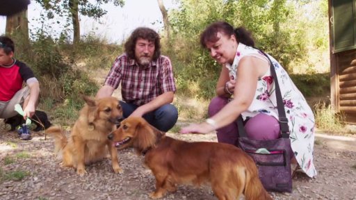 Neposlušní Denny a Dendy: seznámení s koučem