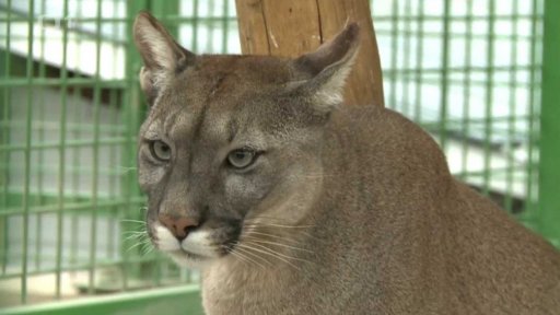 Faunapark Horní Lipová