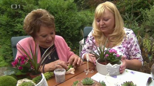 Zahrádka do domácnosti