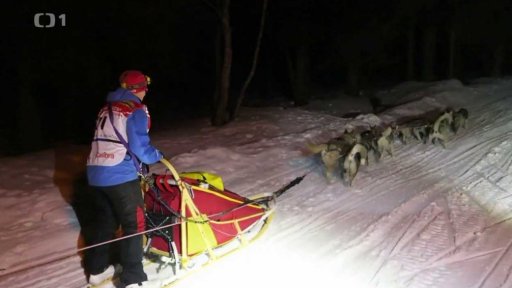 Ledová jízda musherů