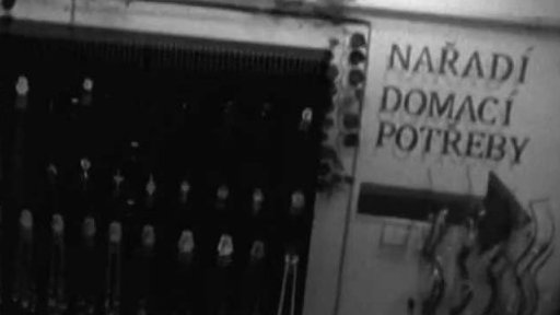 Vše za 35 (r. Pavel Lukáš, 2010, 6 min.)