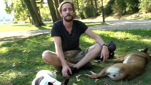 Téma: film a poezie