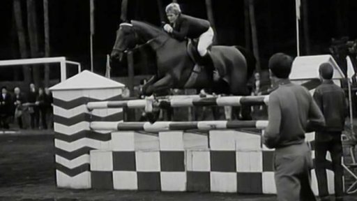 Mistrovství republiky v jízdě na koních