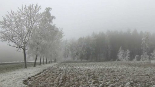 Ceny zemědělské půdy poprvé klesly