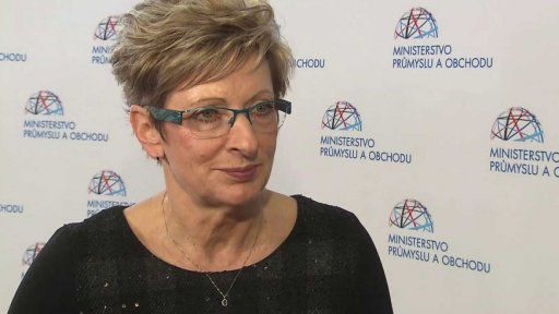 Kroky proti evropské žalobě