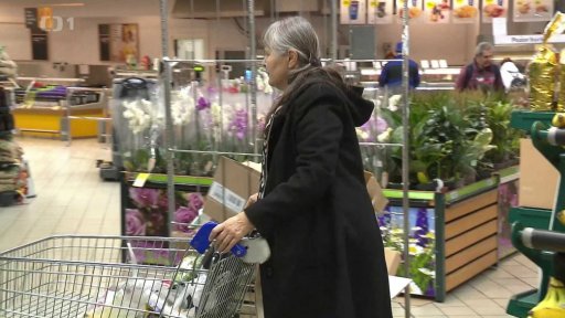 Češi a nákupy ve slevách