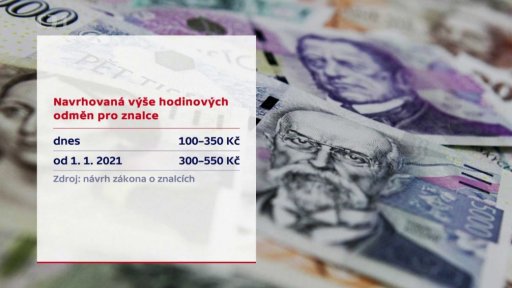 Nová pravidla pro znalce