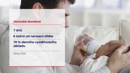 Rok s otcovskou dovolenou