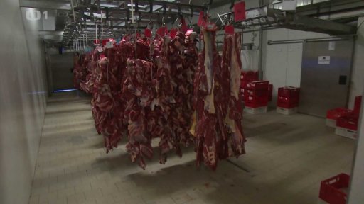 Kontroly masa v Česku