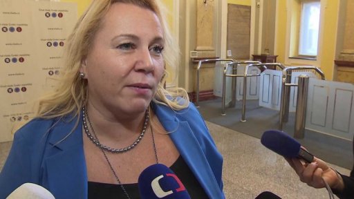 Koaliční rada o důchodech a rodičovské