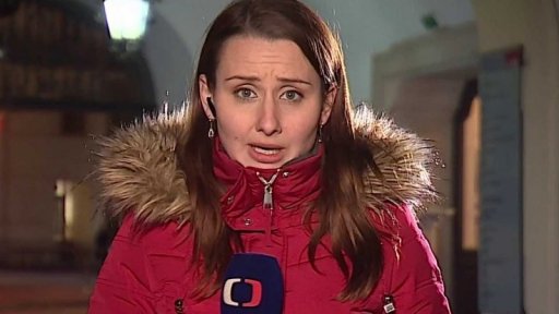 Prověrka veřejných zakázek v Brně-střed