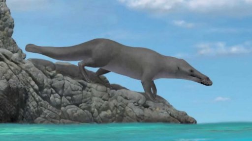 Nález kostry předchůdce velryby