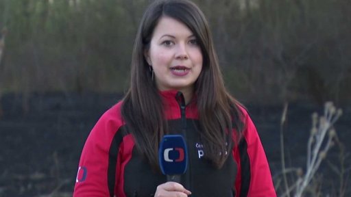 Požár louky v Praze