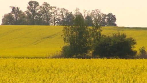 Vláda o biopalivech
