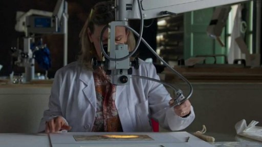 Odborníci zkoumají práci Leonarda da Vinciho