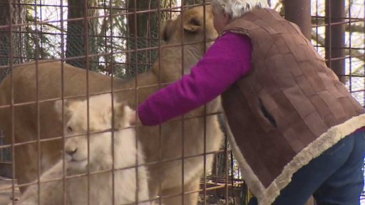 Soukromé chovy zvířat v Česku