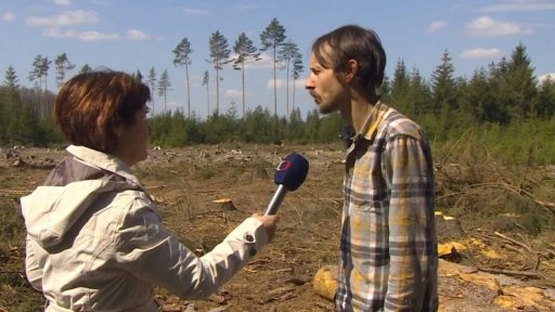 Spory o kácení v národní rezervaci Břehyně Pecopala