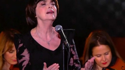 Obnova katedrály Notre-Dame