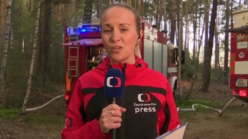 Požár v Chotíkovském lese u Plzně