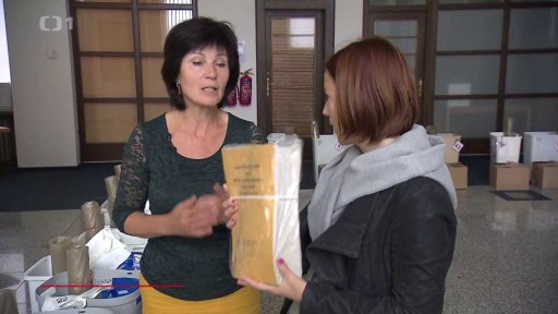 Přípravy na evropské volby v Česku