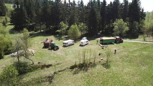 Pastevci na Krušnohorsku začali s vyháněním ovcí